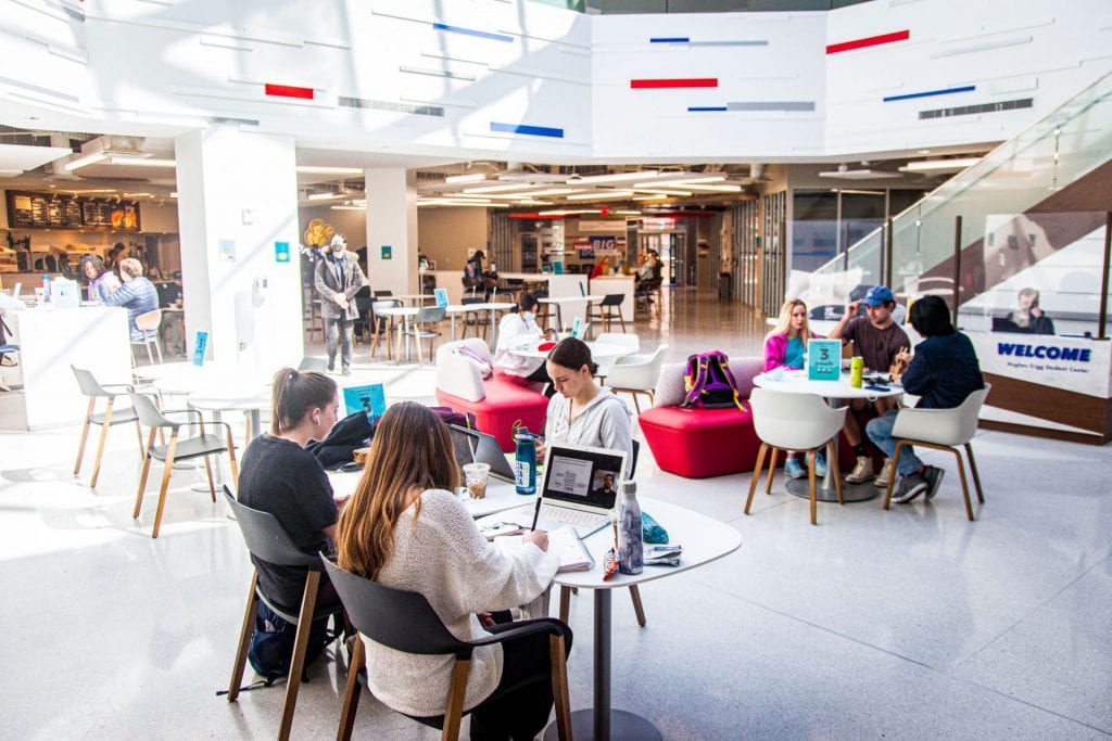 Several students studying collaboratively in the Hughes-Trigg Student Center.