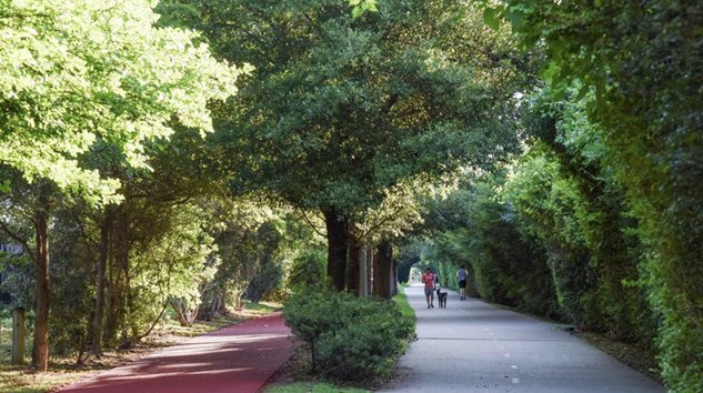 A tree lined walking trail with a man and his dog enjoying a walk